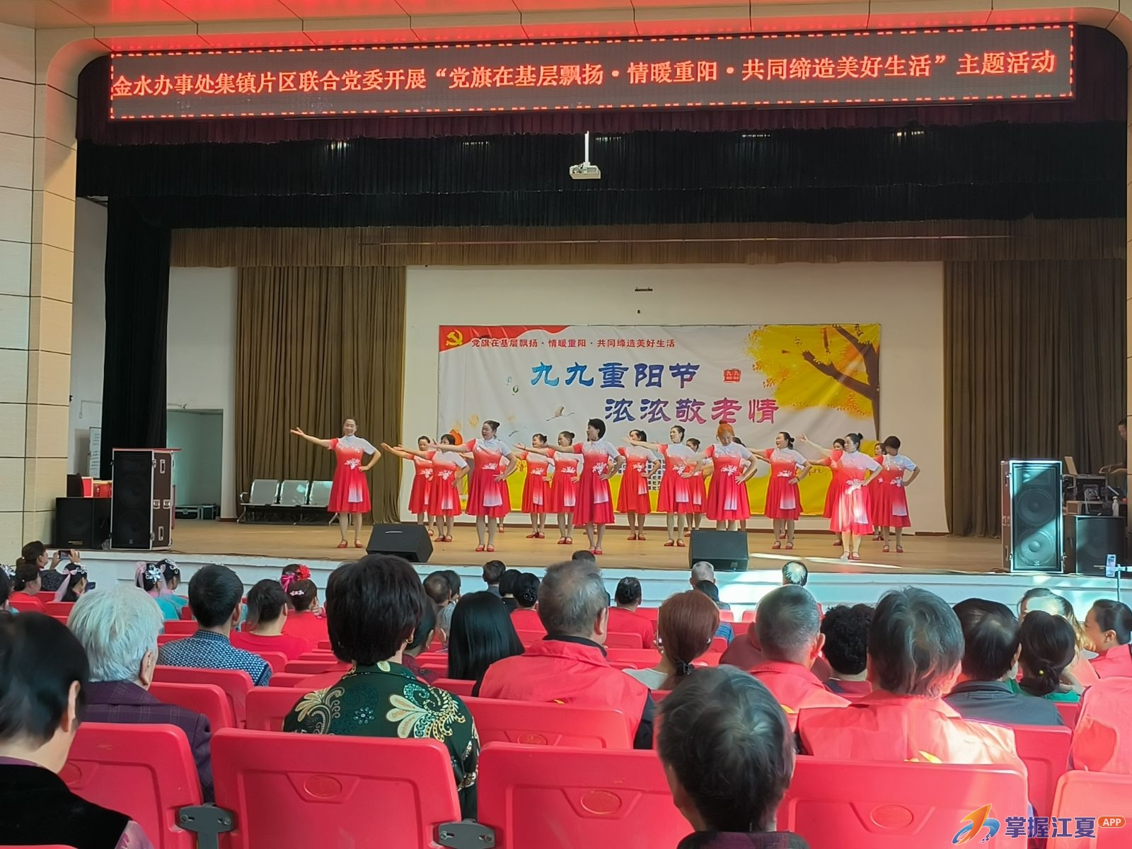 金水辦事處與重陽共舞 黨旗映照基層，情深系家園